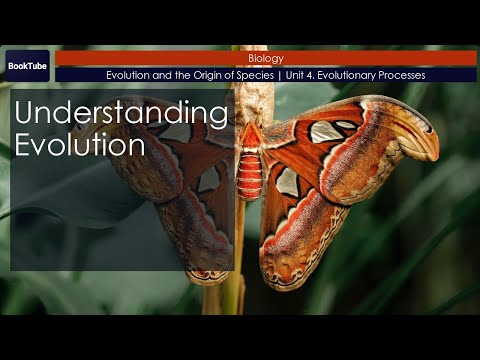Understanding Evolution | Evolution and the Origin of Species | Unit 4. Evolutionary Processes