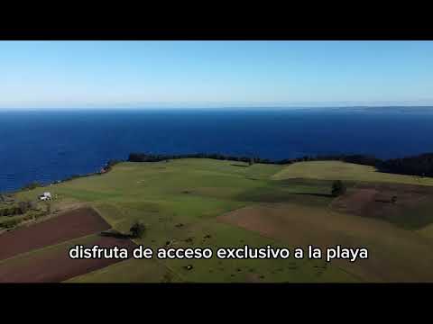 Parcelas en Venta Puerto Octay 
