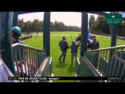 Prix Du Jockey Club 2014