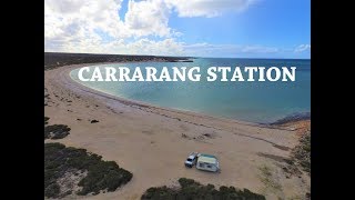 Wild Touring - Carrarang Station, Steep point, Shark Bay