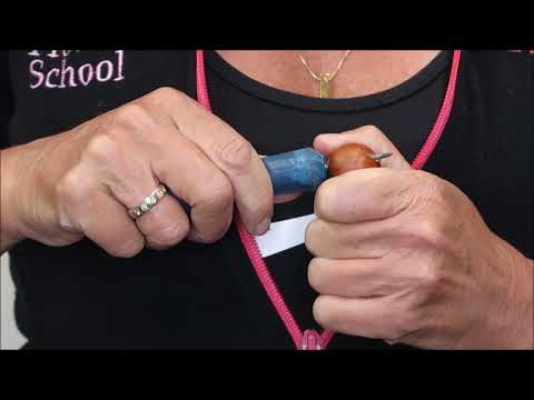 download lagu mp3 mp4 Preserving Chestnuts For Crafts, download lagu Preserving Chestnuts For Crafts gratis, unduh video klip Preserving Chestnuts For Crafts