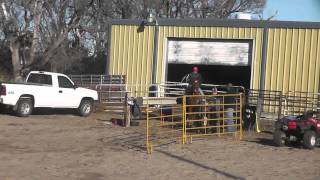 Pal John Klooz Tiedown Calf roping.