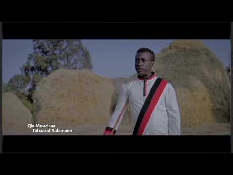 dajanee kaasahee guyyaa gaafa beellamaa