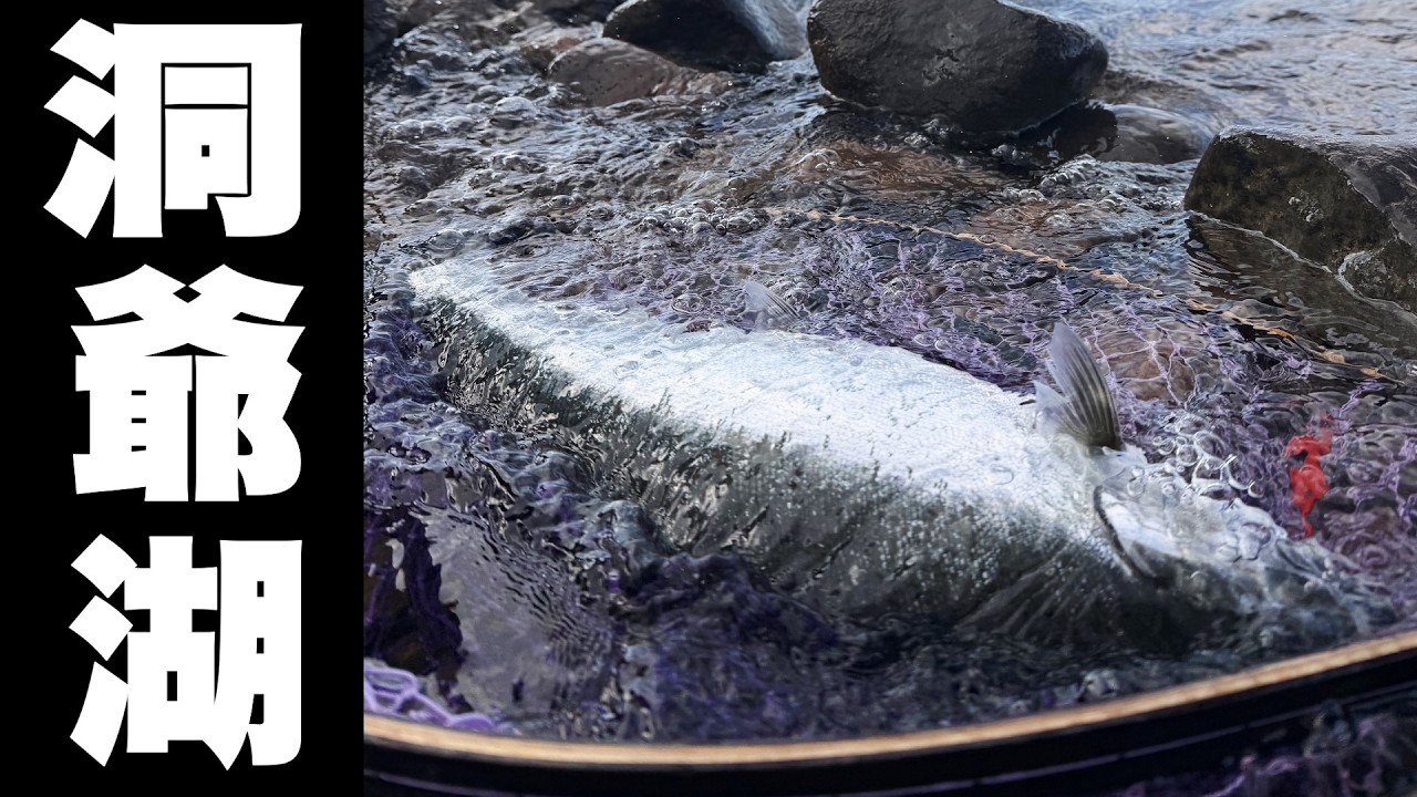 最近デカい奴が釣れてる洞爺湖へ