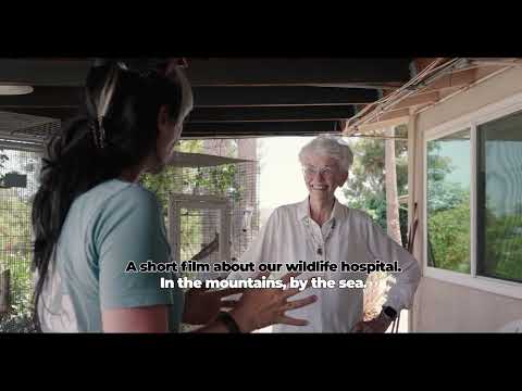 Heartbeat of Hope: trailer