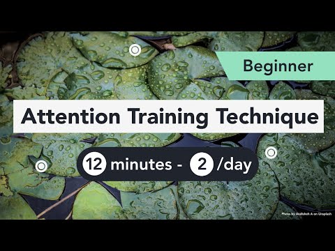 메타인지 훈련 Metacognitive Training - : 최신 백과사전, 뉴스, 리뷰 및 연구 메타인지 훈련 Metacognitive Training - : 최신 백과사전, 뉴스, 리뷰 및 연구