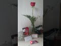 Durex Massage Gel 2in1
