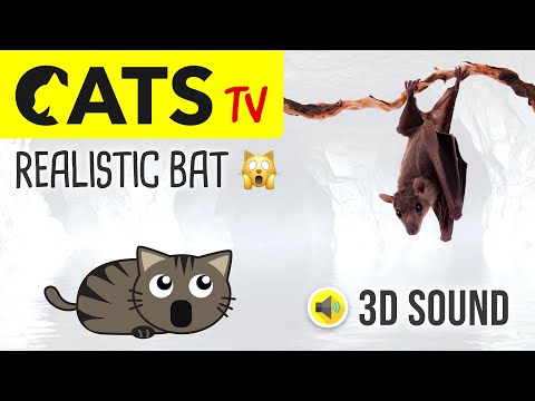 CATS TV - Realistic Flying Bat 🦇 3 HOURS (Game for cats to watch)