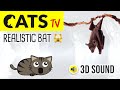 CATS TV Realistic Flying Bat 3 HOURS Game For Cats To Watch