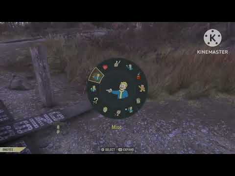 What happened to iamlegend420#254 formerly Skywalker and what went wrong? #fallout76 #fallout76pvp