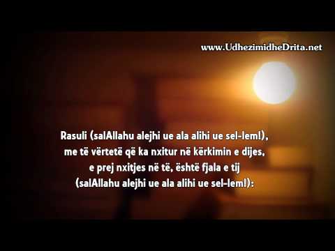 Shejkh Feuzani - Te kerkuarit e dijes