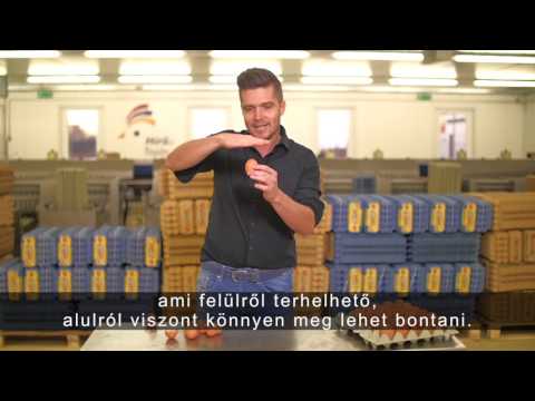 Gondoltad volna 2017 04 13