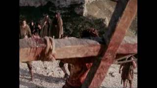 This Must Be the Lamb.