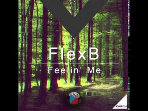 DMR009 - FlexB - Feelin Me (Original Mix) [Digiment Records]