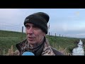 Proef met 'levende vogelverschrikkers' flopt