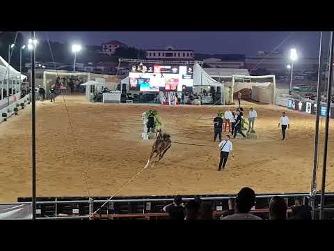 M.D. MARQUIS . ENOTRI EEA BY SHANGHAI EA & AJMANDA JMF BY AJMAN MONISCIONE