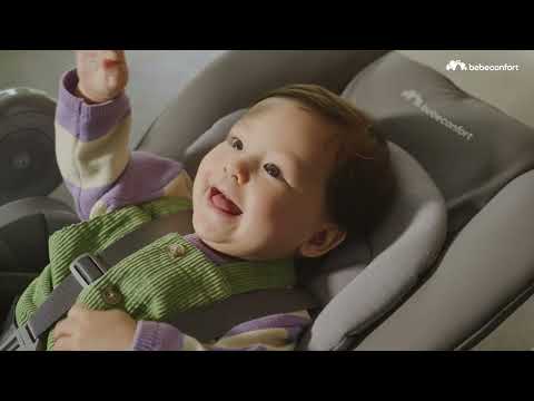 Стульчик для кормления Bebe Confort Olea Tinted Gray (2792077210)