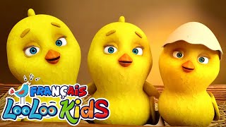 Une poule sur un mur 🐔 + Ah ! Les crocodiles - 🐊 - Comptines Bébé - LooLoo Kids Français
