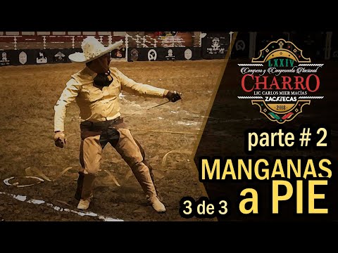 parte 2 MANGANAS A PIE 3 de 3 - Congreso Zacatecas 2018