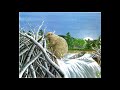 The Busy Beavers