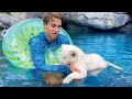 TEACHING BABY WHITE LION HOW TO SWIM