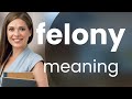 Understanding the Term "Felony"