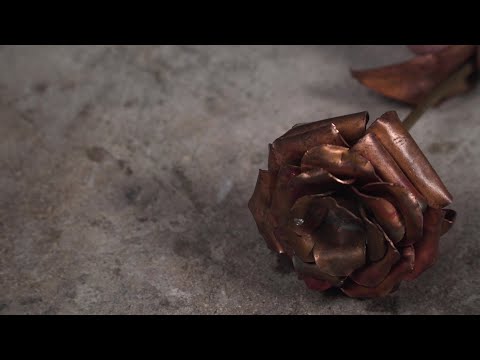 Kurzfilm | Die Entstehung