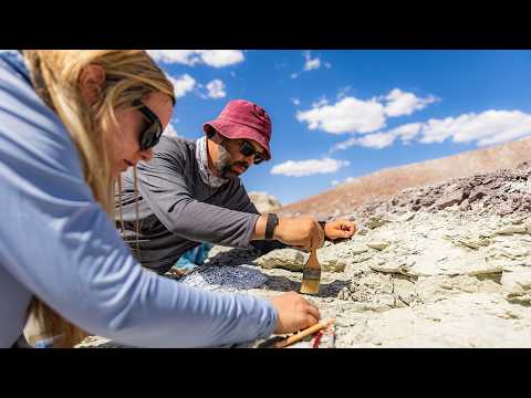 Teachers become fossil hunters alongside Virginia Tech researchers