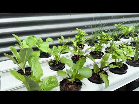 Vegi Bench Hybrid Hydroponic NFT 27 Plant