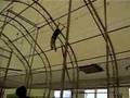 More Flying
