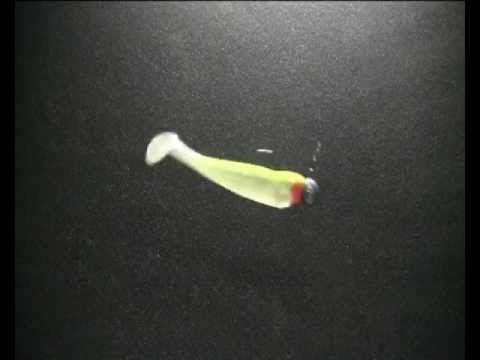 RELAX King Shad 4" Swimming video