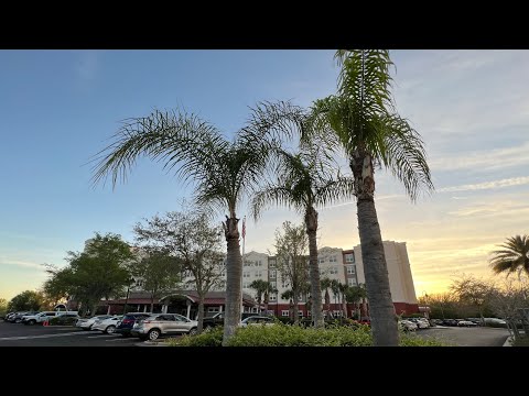 Residence Inn By Marriott, Suncoast Parkway, Tampa One Bedroom Suite Room 301