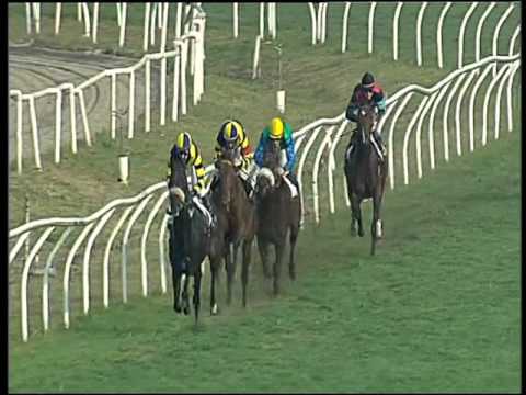 Galoppo 09/12/2015 - 1° corsa