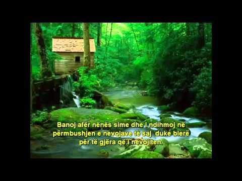 Shejh Shenkiti (Allahu e ruajte)  -  kujdesi per prinderit -  April 12, 2016