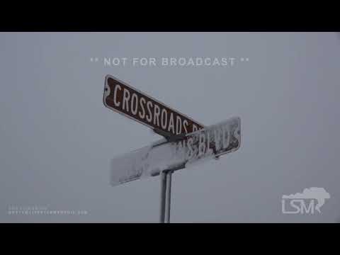 12-28-2025 Chanhassen, MN - Minnesota Blizzard