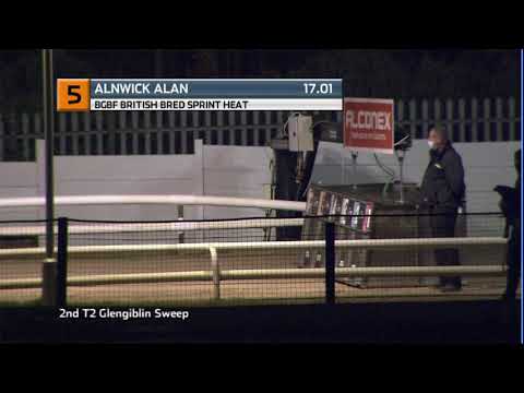 BGBF BRITISH BRED SPRINT - HEAT 3 - T5 ALNWICK ALAN