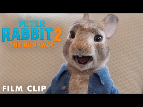 Peter Rabbit 2: The Runaway (Clip 'My Voice Isn't Annoying')