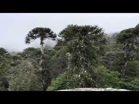 Piedra del Águila, Día nublado 