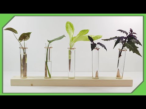 How To Make A Propagation Station