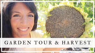 A Peaceful Morning GARDEN TOUR & HARVEST | HOA Garden Tour Collaboration