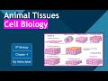 Animal Tissues Class 9
