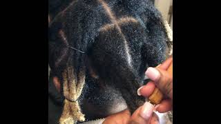 (KodakKnots) How to combine traditional Locs into Wicks