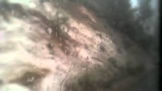 tender buttons - typo