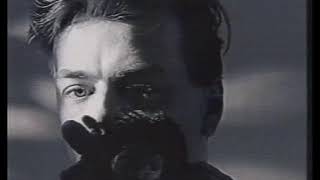 Momus - Hairstyle of the Devil