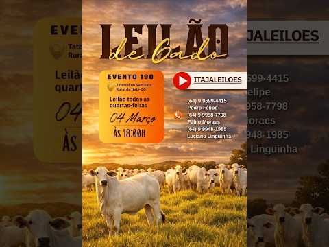 LEILAO DE GADO DA ITAJÁ LEILÔES