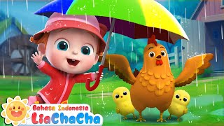 Download lagu Hewan-hewan Berlindung dari Hujan | Lagu Hari Hujan☔ | Lagu Anak | LiaChaCha Bahasa Indonesia mp3 Download lagu Hewan-hewan Berlindung dari Hujan | Lagu Hari Hujan☔ | Lagu Anak | LiaChaCha Bahasa Indonesia mp3