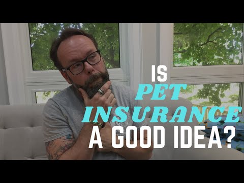 , title : 'Is Pet Insurance Worth It? A Veterinarians Advice'