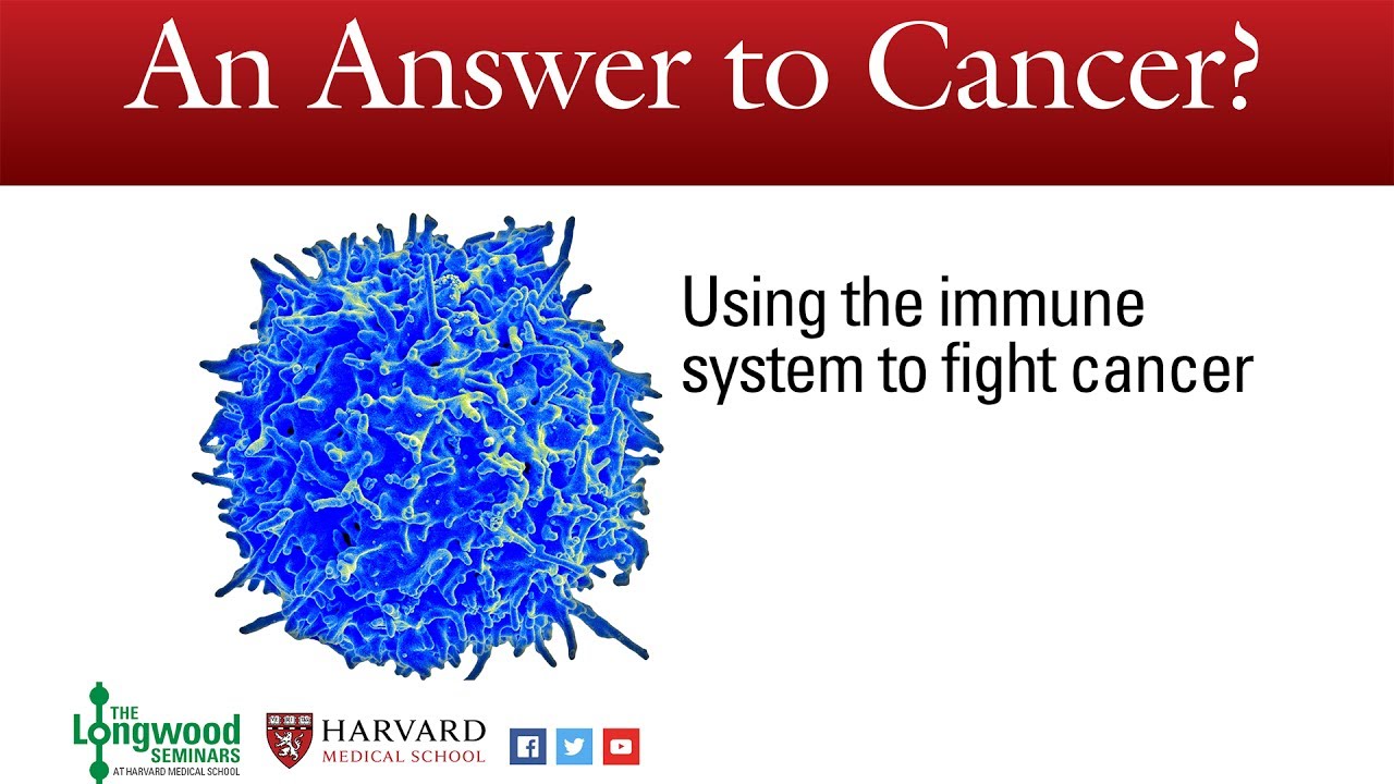 An Answer to Cancer? Using the immune system to fight cancer -- Longwood Seminar