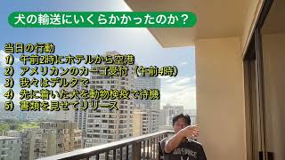 ハワイ生活 シニアの引退生活、6日目 気づいた事PART3