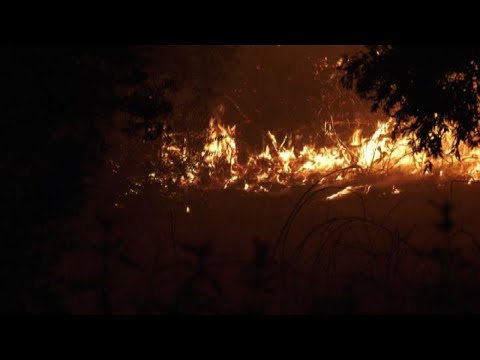 Portogallo in fiamme, a fuoco boschi nel Centro-Sud
